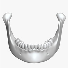 alt çene uçak anatomi kemik çiğnemek doğrama yemek yüz sakız insan yutma jawbone jaws daha düşük mandibula mandibular maxilla tıp model kafatası diş vikingdigital 3d print model - Mito3D