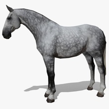 lowpoly horse b dapple grey animal cavalier cavalry character charriot cowboy equine game gamedev lower mare medieval model poly riding stable western zerkalo tmy 3d print model - Mito3D