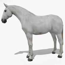 lowpoly at d beyaz gri hayvan cavalier süvari karakter charriot kovboy oyun gamedev daha düşük mare Ortaçağ model poly sürme kararlı Batı zerkalo tmy 3d print model - Mito3D