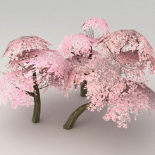 lowpoly árvore de sakura conjunto cereja japonês kvakling a folha inferior modelo natureza parque estacionamento planta poli definir madeira 3d print model - Mito3D