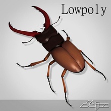 lucanus cervus beetle lowpoly 3d 3ds 3dsmax animal antenna antlers brown bug elk horn insects large lower model poly shiva3d stag 3d print model - Mito3D