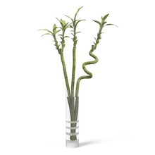 lucky ikea bamboo plant vase accent accessory bouquet decor decorative flower glass home model palm shop3ds small tall 3d print model - Mito3D