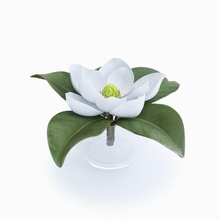 magnolia architecture decoration elements flower glass interior model modern pashok3d petal plant 3d print model - Mito3D
