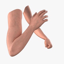 male arms anatomy arm bicep body character elbow extremities finger game guys hand human libertyone limbs man model muscle nail palm people realistic rig wrist 3d print model - Mito3D