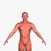 männliche base mesh Anatomie asteltainn Charakter Gesicht Jungs Kopf Mensch Männlich Mann maya Modell Menschen textur zbrush 3d print model - Mito3D