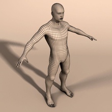 hommes mesh de base l'anatomie la caractère coupe l'oreille pied main tête l'horizon l'homme sexe masculin maillage modèle parfait topologie le torse déballé uvw 3d print model - Mito3D