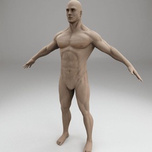 erkek vücut karakter anatomik anatomi atlet temel geliştirmeci çocuk detay çocuklar hercules insan adam örgü orta model çıplak kişi poly gerçekçi shprott torso 3d print model - Mito3D