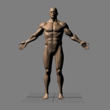 male figure anatomy body character human man muscular nude people zoo m 3d print model - Mito3D