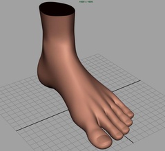male foot base mesh anatomy body character extremities finger guys human legs limbs m magableh95 man model people realistic toe 3d print model - Mito3D