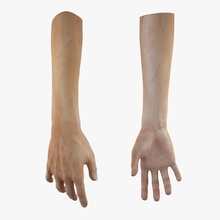 male hand 3d 3ds anatomy arm body character dddviz female finger fingernail guys human man max model people realistic texture vray woman wrist 3d print model - Mito3D