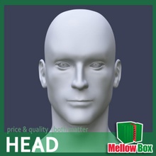 male head base basemesh box character face guys human man mellow mesh model topology zbrush 3d print model - Mito3D
