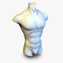 male torso anatomy body bust character guys human icecave man model mudbox muscle muscular people ready sculpture statue zbrush 3d print model - Mito3D