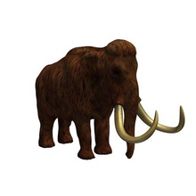 mammmoth v1 wollig Mammut Tiere bedruckbar ist lowpoly 3d print model - Mito3D