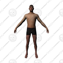 man character gibridq guys human male model rig 3d print model - Mito3D