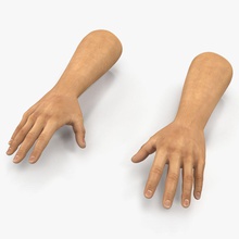 man hands 2 3d molier adult anatomy arm body caucasian character finger fingernail fist gestures hand human international male model palm people person realistic skin vray white wrist young 3d print model - Mito3D