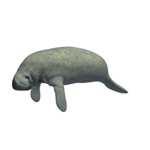 lamantin v1 animaux imprimable lowpoly 3d print model - Mito3D