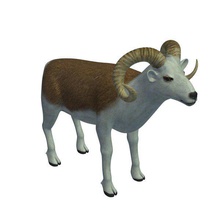 moutons de marco polo v1 les animaux imprimable lowpoly 3d print model - Mito3D