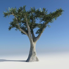 maya zeytin ağacı mimarlık çalılar elemanları bahçe daha düşük model bitki poly ağaç örtüsü visualcenter 3d print model - Mito3D