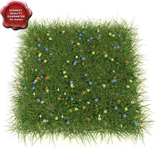 wiese-mix 3d 3d-molier 3ds cover Boden Garten gras grün land Rasen max wiese Mischung Modell outdoor pflanze realistisch sind realisticgrass klein Gelände vray Wildblumen 3d print model - Mito3D