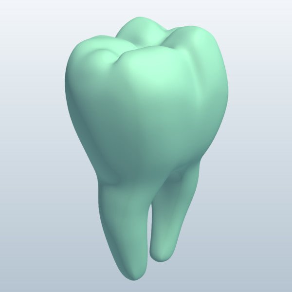 molar root v1 de la raíz anatomía imprimible lowpoly 3D print model - Mito3D