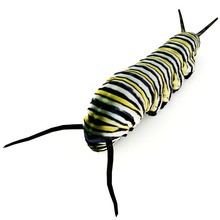 monarch caterpillar animal arachnid arachnoid biology development ecology icom insecta insects life live model nature plant productions wild worm young 3d print model - Mito3D