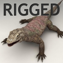 waran manipuliert Tier biped Knochen dinasours dragon iguana komodo kvakling die Eidechsen niedrigere lowpoly Modell monitor poly Reptilien rig Haut 3d print model - Mito3D