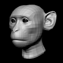 cabeça de macaco da base dados 2019 anatomia animais activos banana o corpo caliskanuzay personagem jogo gorila calvo a humanos inferior malha modelo poli primatas rhesus vervet 3d print model - Mito3D