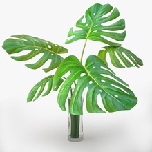 monstera planta v3 3d 3ds coleção a decoração jardim folha max modelo nardid realista vaso vray 3d print model - Mito3D