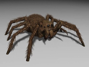 monstrous spider 2 3d 3dassetforge animal arachnid arachnoid black bug char character enemy game insects lower lowpoly model monster nextgen poly real realtime rpg time widow 3d print model - Mito3D