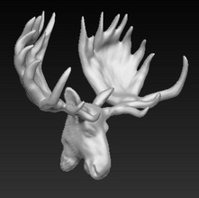 moose head trophy animal architecture elements horn hunt lucky hunter 2008 model stuffed taxidermy 3d print model - Mito3D