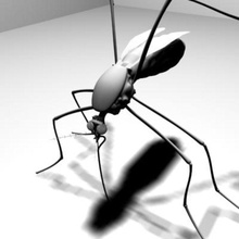 les moustiques aleksandr alekseev animal insectes joseclemente de modèle moustique zancudo 3d print model - Mito3D