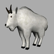 mountain goat animal blazer76 game horn lamb lower lowpoly mammal model polygon real sheep time 3d print model - Mito3D