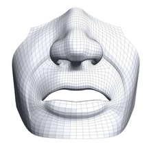mouth-nose3ds anatomy body character chrisroll face human mouth nose 3ds 3d print model - Mito3D