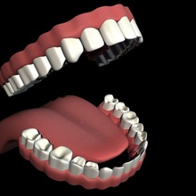 mouth set anatomy body character dentist denture female full gum human jaws kakle male man model oral parts people person small teeth texture tongue woman 3d print model - Mito3D