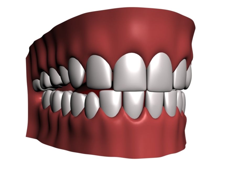 mouth teeth 3d anatomy animated animation body cartoon character chew film hd head human jajo1399 jaws medical model moth motion science talk tongue toon 3D print model - Mito3D