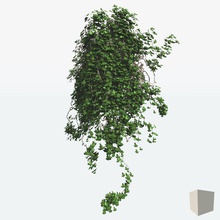 mehrere Efeu-Formen blooper die Büsche creeper grün wächst ivy Blatt Modell pflanze scrub geformt klein 3d print model - Mito3D