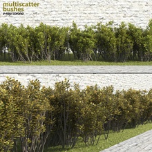 multiscatter çalılar geniş yapraklı küme corona çit alan yeşillik orman bahçe hedges manzara macrox model açık otopark bitki proxy ray saçılma sitesi v duvar 3d print model - Mito3D
