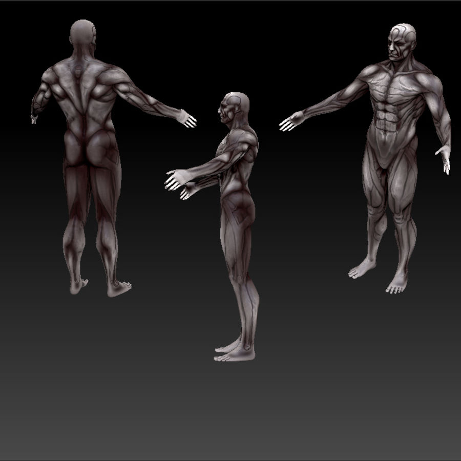 muscleman 3d anatomy beast body character game human kokoronomagnet lower model monster mutant poly price ready texture 3D print model - Mito3D