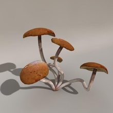 mushroom eat food forest jcihelka plant small wood 3d print model - Mito3D