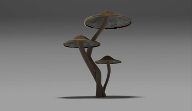 mushroom fungus model morpheus2020 nature plant small 3d print model - Mito3D
