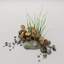 mushrooms daftmod garden grass model mushroom nature pebble plant rock scene small stone toadstool 3d print model - Mito3D