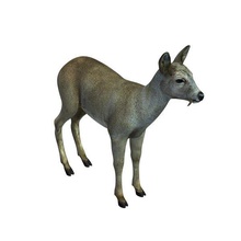 musk deer v1 animals printable lowpoly 3d print model - Mito3D