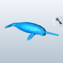 narwhal v1 mythical creatures printable lowpoly 3d print model - Mito3D