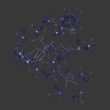 réseau de neurones 3dformat l'anatomie les axes corps des cerveaux cellule caractère la circulaire dendy l'homme laboratoire médicaux microscopiques modèle molecul nerv nervus neurone réflexion science synapse système le torse 3d print model - Mito3D