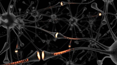 neurônio para a célula anatomia biologia cérebros gliais médica miketv6 modelo nervo ciência sinaps 3d print model - Mito3D