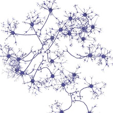 nöron 3dformat anatomi eksen vücut beyin hücre karakter dendr ekstremitelerde insan bacaklarda tıbbi mikro model molekül molekul nerv sinir ağ organ Fran reflektör bilim synapse sistem 3d print model - Mito3D