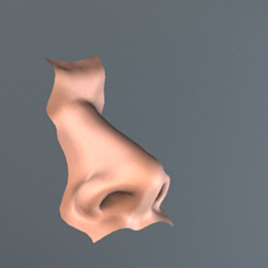 naso 1 3d 3deverart l'anatomia bella bellezza corpo carattere faccia di sesso femminile ragazza ragazzi testa umana lady maschio uomo modello modelman naris nasale narice parti pug schnozz donna 3D print model - Mito3D