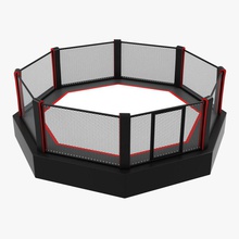 ottagono ring di pugilato 3d arenas art artshine box il combattimento pugno griglia kickboxing marziali modello net anello scena sport vray wrestling la wwe 3d print model - Mito3D