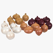 onions bulb collection food model onion peeling photorealistic red veg vegetable yn3 3d print model - Mito3D