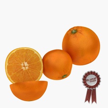 laranja 3d acessório barra tigela chrom cítrico citrus jantar fbx alimentos frutas de ouro suco a cozinha m unal max modelo obj madura o quarto fatia v vitaminas 3d print model - Mito3D